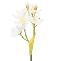 Itens Ramo de narciso para arranjos de casamento sazonais, lindo, 33 cm, 6 peças