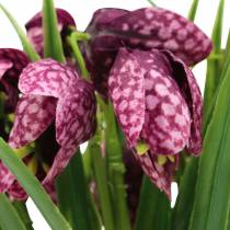 Itens Flores do tabuleiro de xadrez Fritillaria roxo artificial 29cm 6pcs