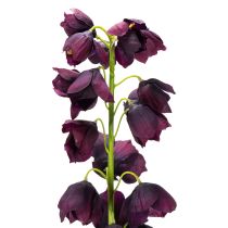 Itens Réplica realista de Fritilária para arranjos e buquês elegantes, 78 cm