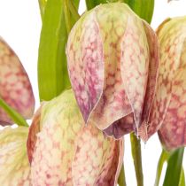 Itens Flor fritilária artificial, decoração delicada para ambientes, 60 cm, 3 peças