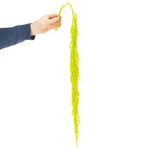 Itens Flores secas de rabo de raposa, tingidas, para decoração especial e detalhes únicos, 100 cm, 5 peças.