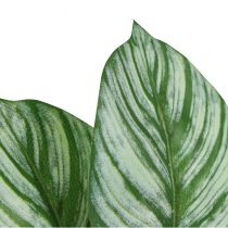 Itens Cesto Artificial Calathea Marante Plantas Artificiais Verde 51cm