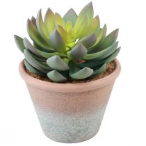 Itens Planta suculenta em vaso Echeveria artificial verde vintage Ø15cm Alt.16cm