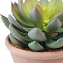 Itens Planta suculenta em vaso Echeveria artificial verde vintage Ø15cm Alt.16cm