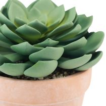Itens Planta suculenta em vaso Echeveria artificial verde Ø15cm