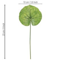 Itens Folhas Galax Urceolata Artificial Verde Ø10cm L23cm 12 pcs
