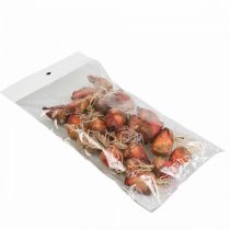 Itens Decoração vegetal mini beterraba artificial Ø2,5cm Alt.3,5cm 24 un