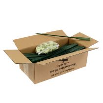 Itens Tubos de arranjo 30cm x 1,5cm 100 peças