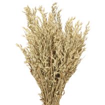 Itens Aveia seca aveia decorativa ramo decoração natural ramo 60cm 200g