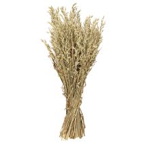 Itens Aveia seca aveia decorativa ramo decoração natural ramo 60cm 200g