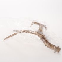 Itens Chifres artificiais, realistas, rústicos, 32 cm