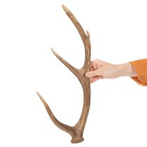 Itens Chifres artificiais decorativos, decoração rústica para cabana, 50cm