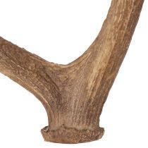 Itens Chifres artificiais decorativos, decoração rústica para cabana, 50cm