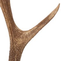 Itens Chifres artificiais decorativos, decoração rústica para cabana, 50cm
