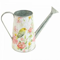 Regador decorativo de metal para plantação, vaso de plantação H22cm