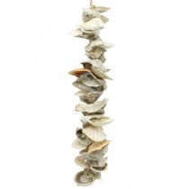 Guirlanda de conchas, decoração marítima de verão, corrente de conchas naturais cores naturais L35cm