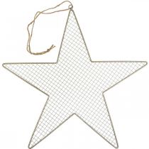 Itens Metal Star Mesh Deco Star Metal Deco Dourado Ø57cm