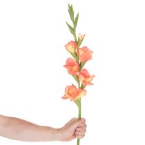 Itens Gladíolo artificial com muitas flores para um buquê, 88 cm