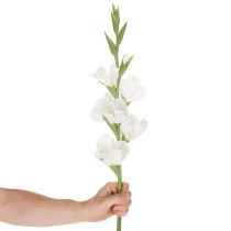 Itens Gladíolo artificial, haste longa, para vasos, 88 cm