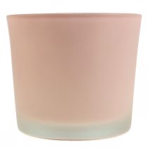 Itens Vaso de vidro para plantas balde de vidro rosa Ø14,5cm H12,5cm