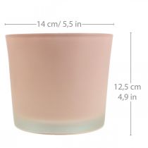 Vaso de flores vaso de vidro rosa vaso de vidro Ø14.5cm H12.5cm