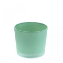 Vaso de flores de vidro plantador verde banheira de vidro Ø10cm H8.5cm