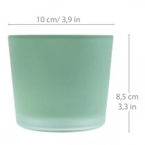 Vaso de flores de vidro plantador verde banheira de vidro Ø10cm H8.5cm