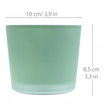 Itens Floreira de vidro floreira verde banheira de vidro Ø10cm A8.5cm