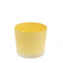 Vaso de flores de vidro vaso de vidro plantador amarelo Ø10cm H8.5cm