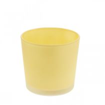 Vaso de flores de vidro banheira de vidro decorativo amarelo Ø11.5cm H11cm