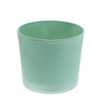 Itens Vaso de flores de vidro plantador verde banheira de vidro Ø14.5cm H12.5cm