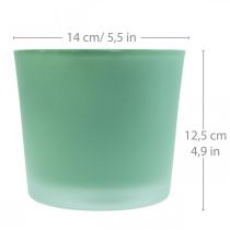 Vaso de flores de vidro plantador verde banheira de vidro Ø14.5cm H12.5cm