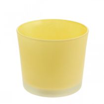 Vaso de flores de vidro vaso de plantas amarelo banheira de vidro Ø14.5cm H12.5cm