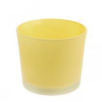 Itens Vaso de flores de vidro vaso de plantas amarelo banheira de vidro Ø14.5cm H12.5cm