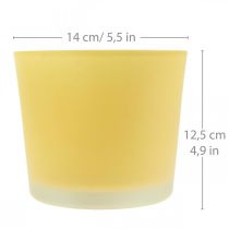 Itens Vaso de flores de vidro vaso de plantas amarelo banheira de vidro Ø14.5cm H12.5cm