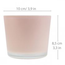 Vaso de flores plantador de vidro rosa banheira de vidro Ø10cm H8.5cm
