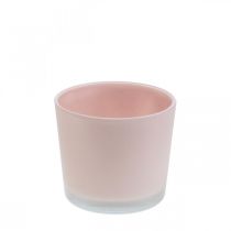 Vaso de flores plantador de vidro rosa banheira de vidro Ø10cm H8.5cm