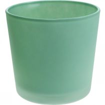 Vaso de flores de vidro plantador verde banheira de vidro Ø11.5cm H11cm