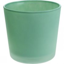 Itens Vaso de flores de vidro plantador verde banheira de vidro Ø11.5cm H11cm