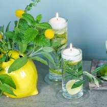 Itens Vaso de vidro com base, transparente, Ø6cm, A25cm