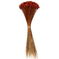 Itens Buquê de flores secas, um charmoso complemento para vasos ou arranjos, 44 cm