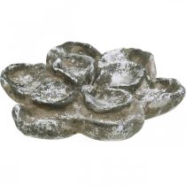 Decoração de túmulos, decoração de concreto, decoração de jardim, rosa de concreto Ø21cm