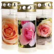 Velas de sepultura com rosas Decoração de sepultura Ø7cm A16cm 3 peças