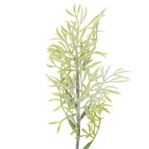 Itens Ramo ornamental de aspargo, complemento natural para arranjos florais, 34 cm, 7 peças