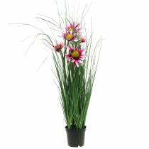 Itens Grama com Echinacea artificial em um vaso rosa 63cm