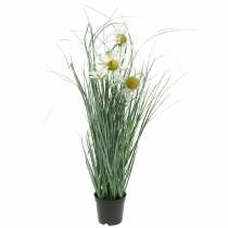 Itens Grama artificial com Echinacea em um vaso branco de 56 cm