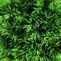 Itens Bola decorativa de grama verde plantas artificiais redondas Ø18cm 1ud