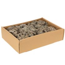 Itens Musgo decorativo, musgo cinza para artesanato, 500g