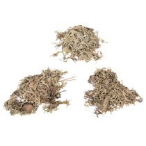 Itens Musgo decorativo, musgo cinza para artesanato, 500g