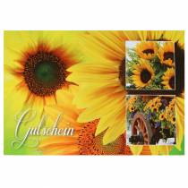 Voucher girassol com envelope 5pcs